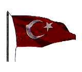 b1.gif