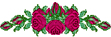 krmztacgul.gif